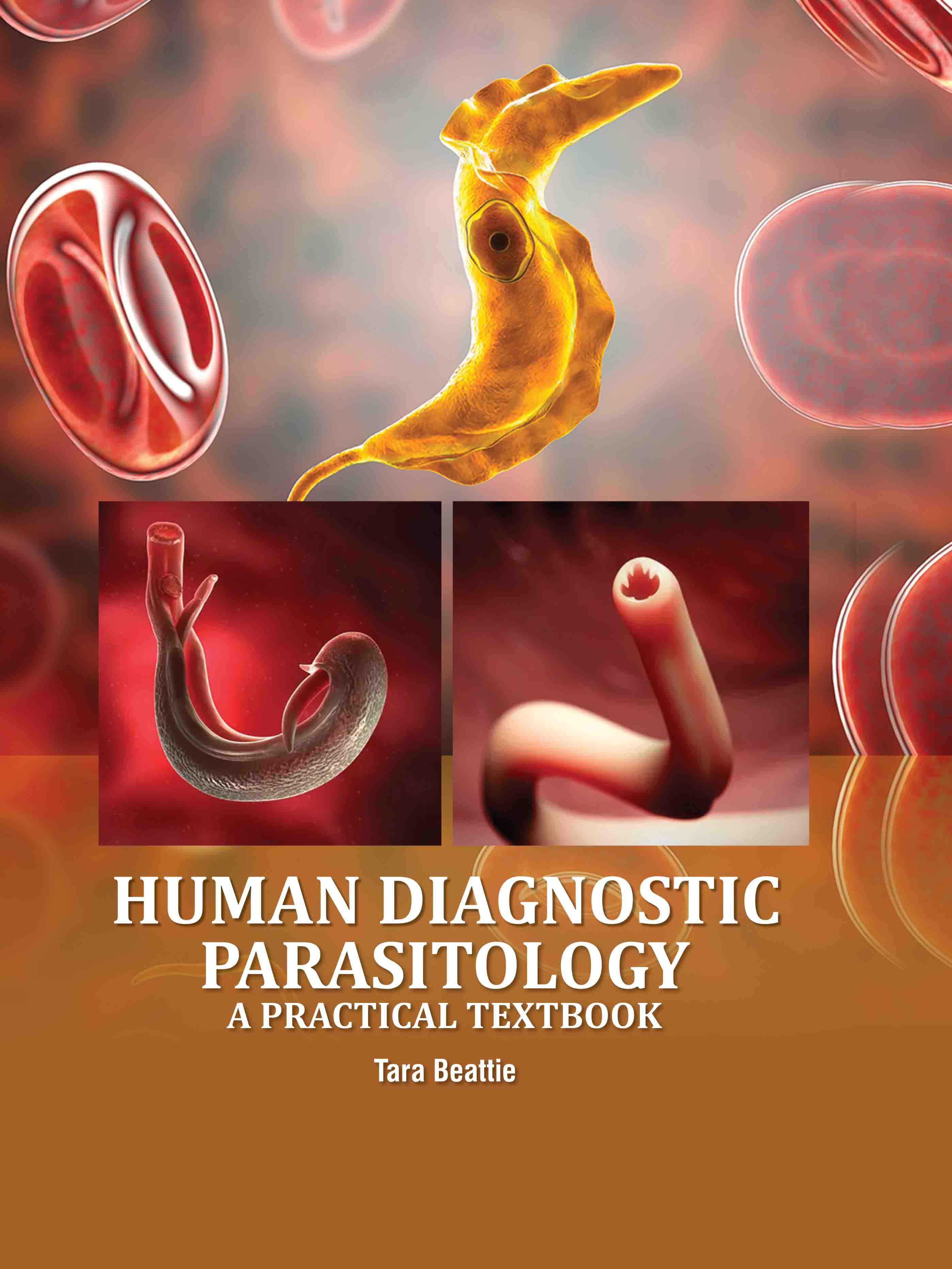 Human Diagnostic Parasitology: A Practical Textbook cover image