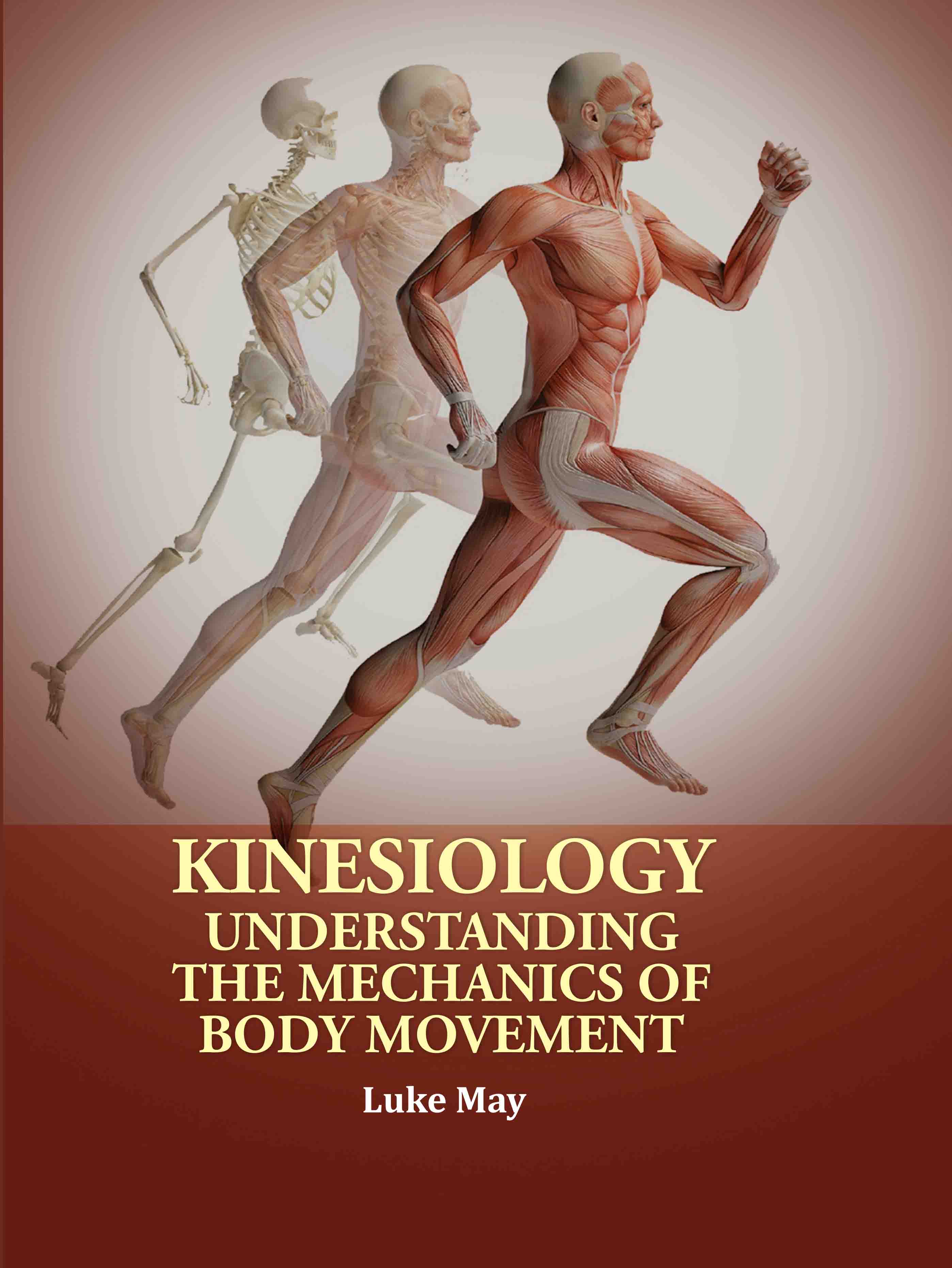 Kinesiology: Understanding the Mechanics of Body Movement