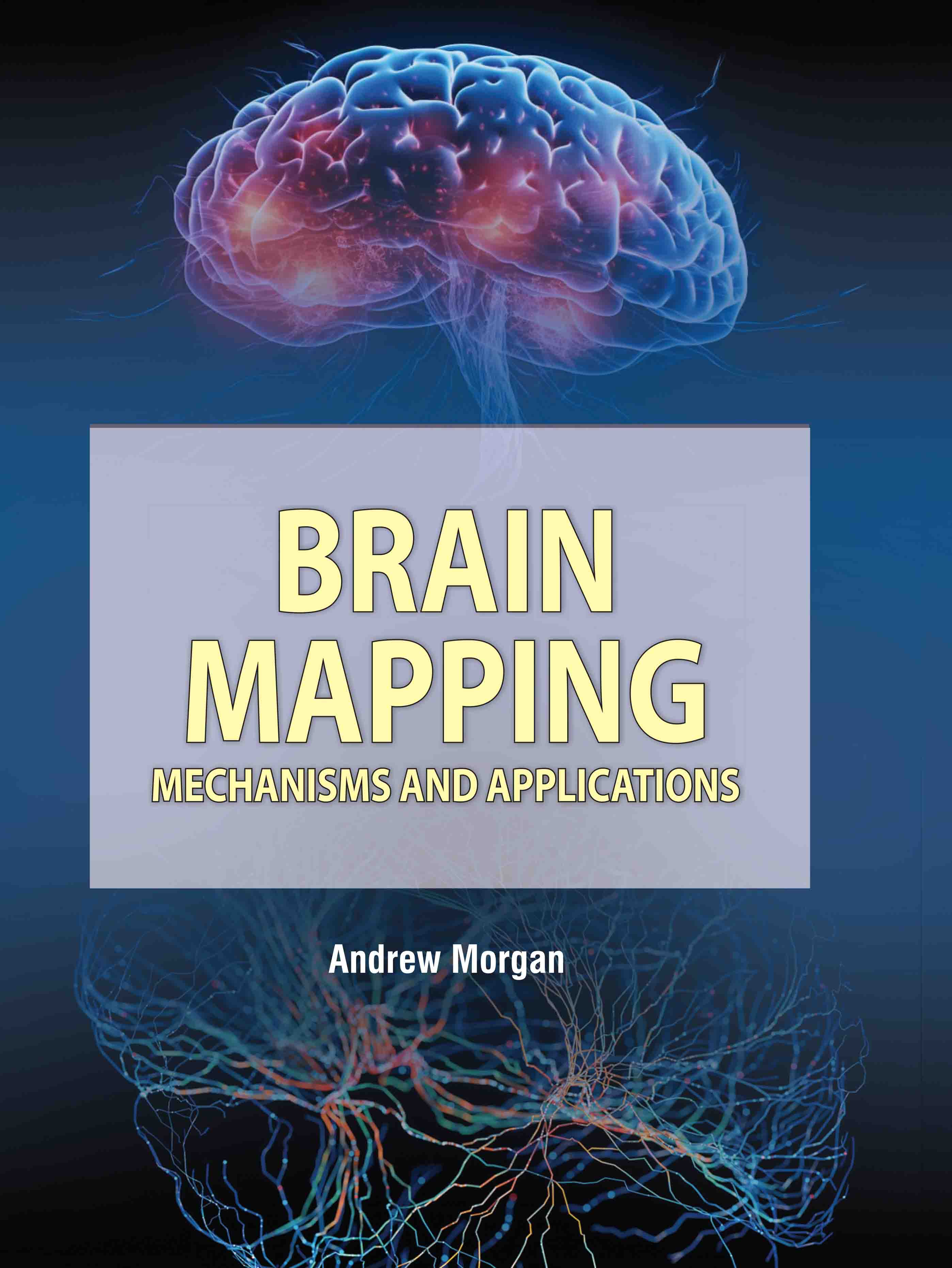 Brain Mapping: Mechanisms and Applications cover image